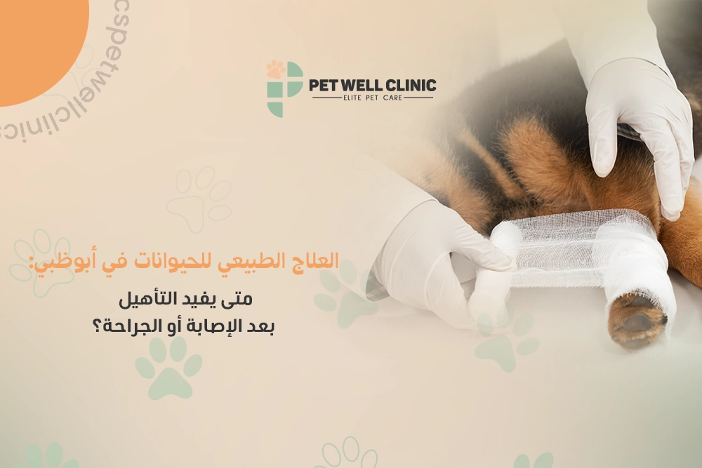 العلاج الطبيعي للحيوانات في أبوظبي