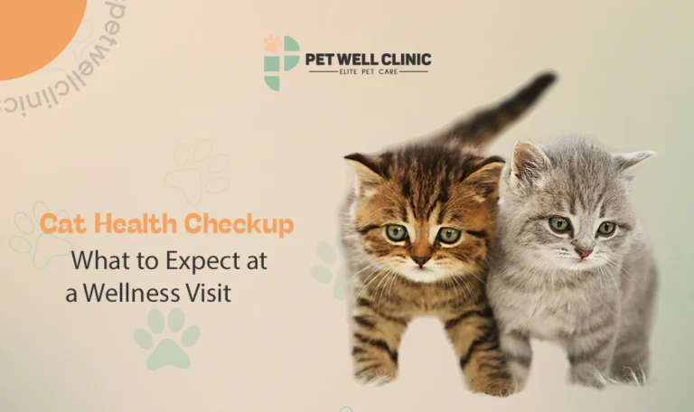 cat health checkup