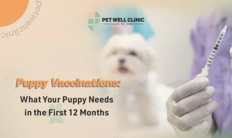puppy vaccinations