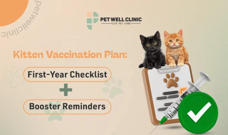 kitten vaccination plan