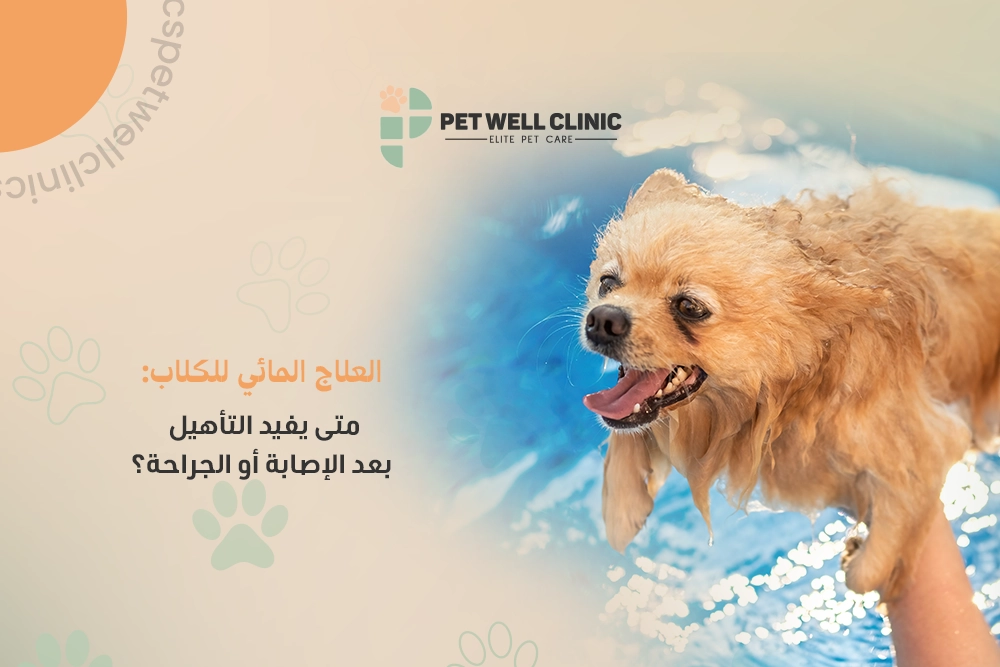 العلاج المائي للكلاب