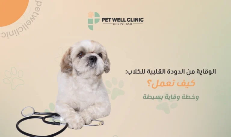 الوقاية من الدودة القلبية للكلاب