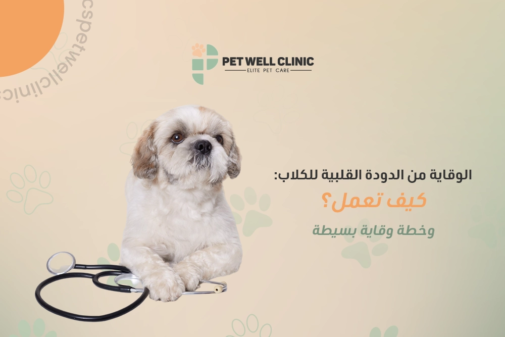 الوقاية-من-الدودة-القلبية-للكلاب:-كيف-تعمل؟-وخطة-وقاية-بسيطة الوقاية من الدودة القلبية للكلاب