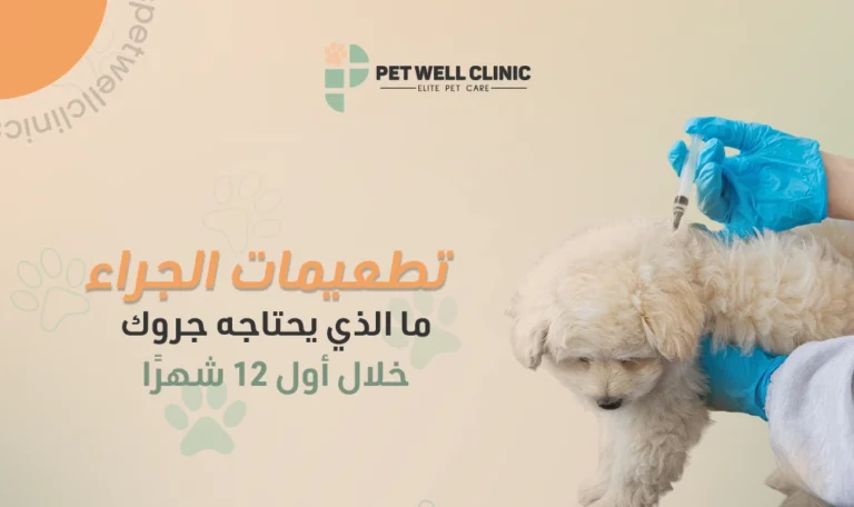 تطعيمات الجراء