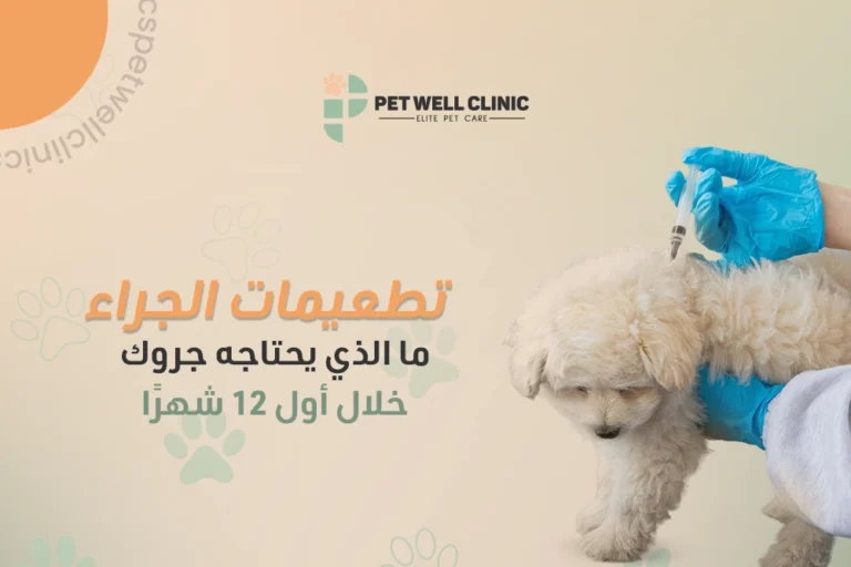 تطعيمات الجراء
