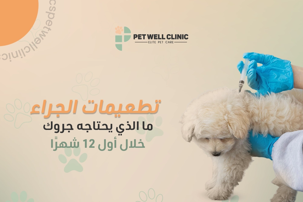 تطعيمات-الجراء-ما-الذي-يحتاجه-جروك-خلال-أول-12-شهرًا؟ تطعيمات الجراء