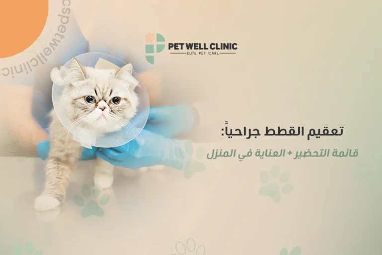 عملية تعقيم القطط