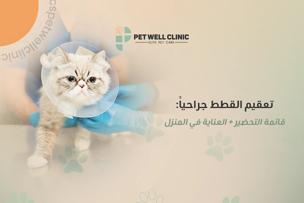 تلقيم-القطط-جراحياً-قائمة-التحضير-العناية-في-المنزل عملية تعقيم القطط