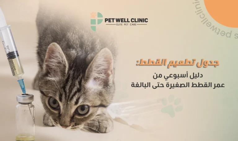 جدول تطعيم القطط