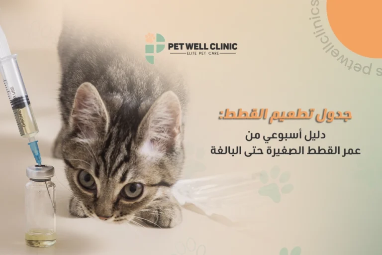جدول تطعيم القطط
