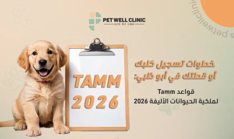 تسجيل الحيوانات الأليفة أبوظبي 2026