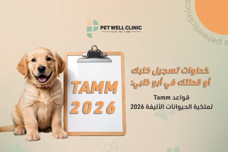 تسجيل الحيوانات الأليفة أبوظبي 2026