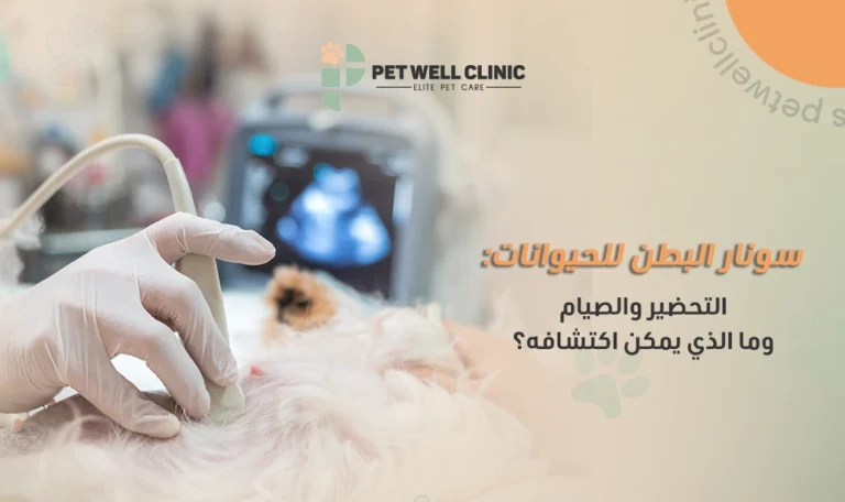 سونار البطن للحيوانات الأليفة