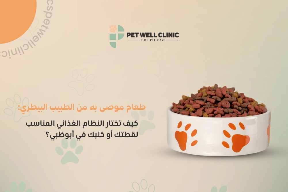 طعام-موصى-به-من-الطبيب-البيطري-كيف-تختار-النظام-الغذائي-المناسب-لقطتك-أو-كلبك-في-أبوظبي؟ طعام موصى به من الطبيب البيطري أبوظبي