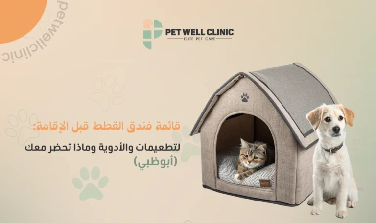 فندق قطط أبوظبي