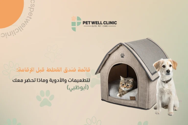 فندق قطط أبوظبي
