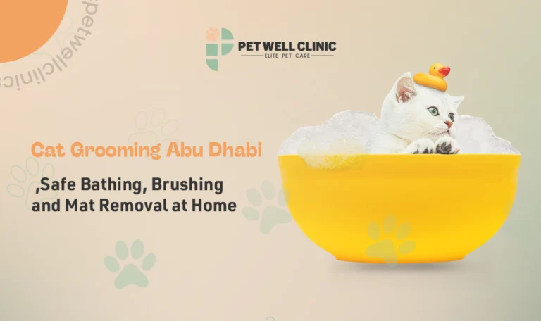 cat grooming Abu Dhabi