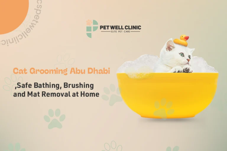 cat grooming Abu Dhabi