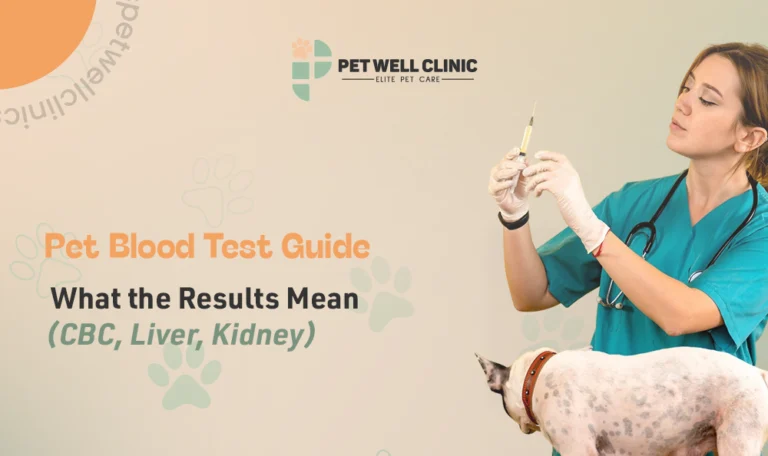 pet blood test