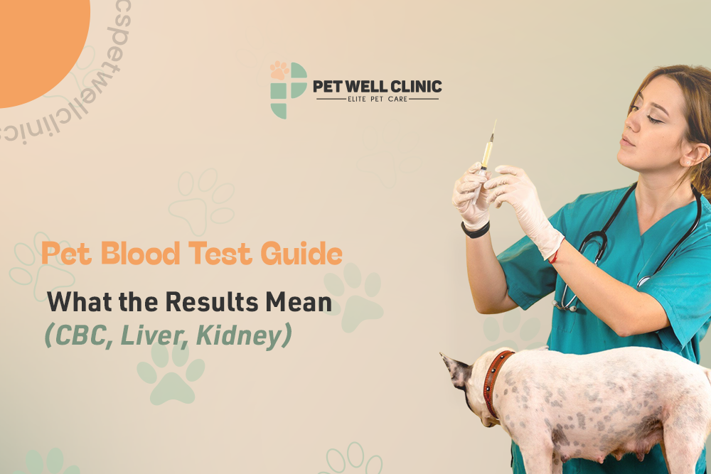 pet blood test