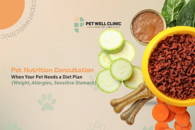 pet nutrition consultation