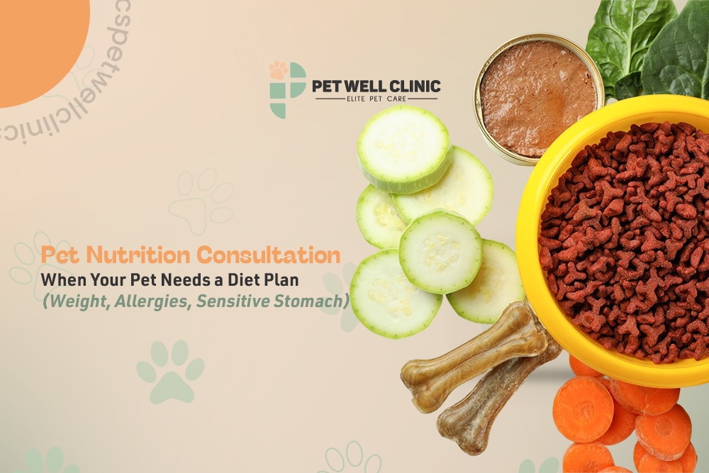 pet nutrition consultation