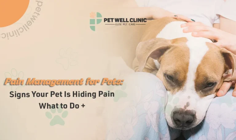 pain management for pets