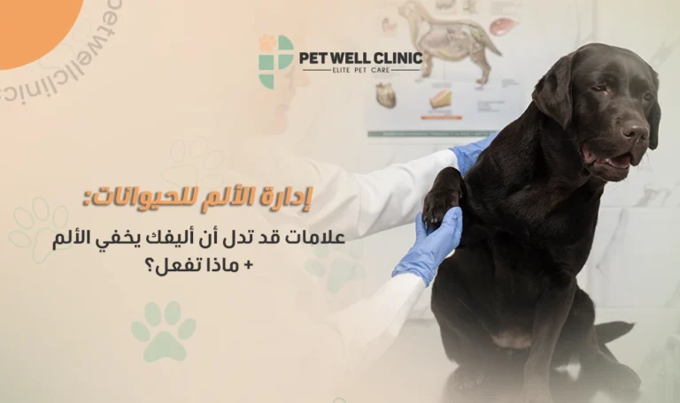 إدارة الألم للحيوانات الأليفة