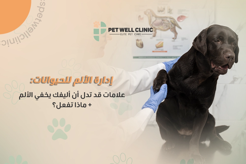 إدارة الألم للحيوانات الأليفة