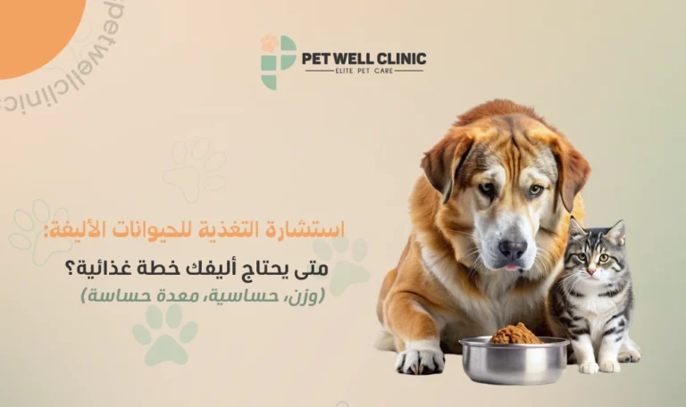 استشارة التغذية للحيوانات الأليفة