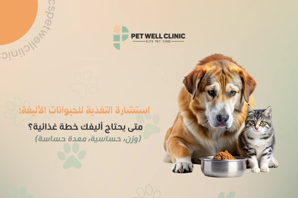 استشارة التغذية للحيوانات الأليفة