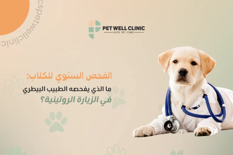 الفحص السنوي للكلاب