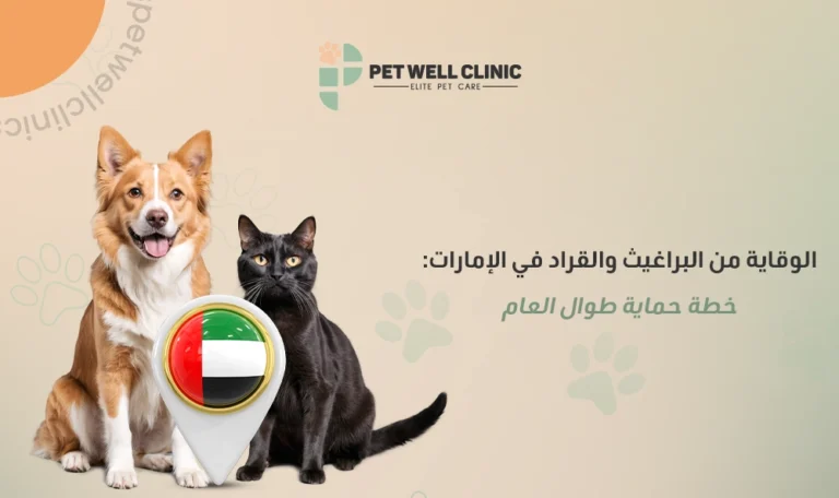 الوقاية من البراغيث والقراد للحيوانات الأليفة