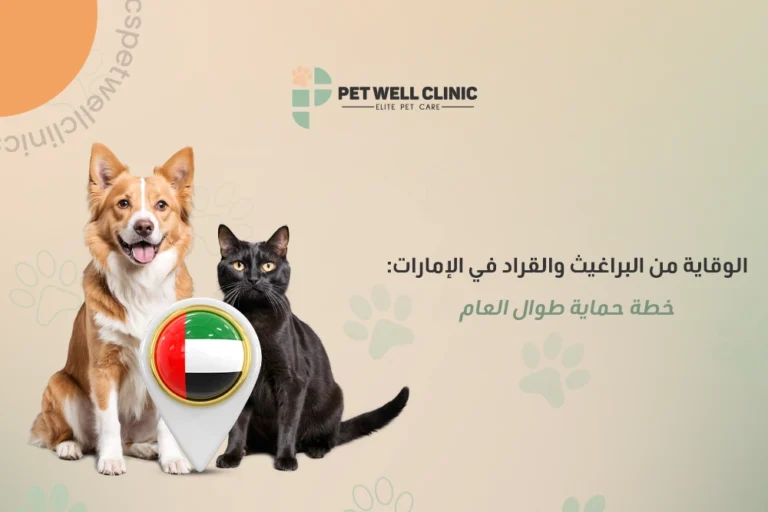 الوقاية من البراغيث والقراد للحيوانات الأليفة