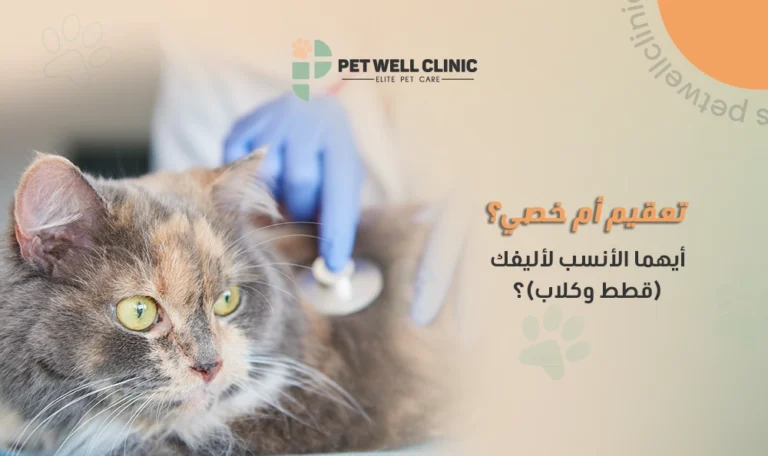 تعقيم أم خصي للقطط والكلاب