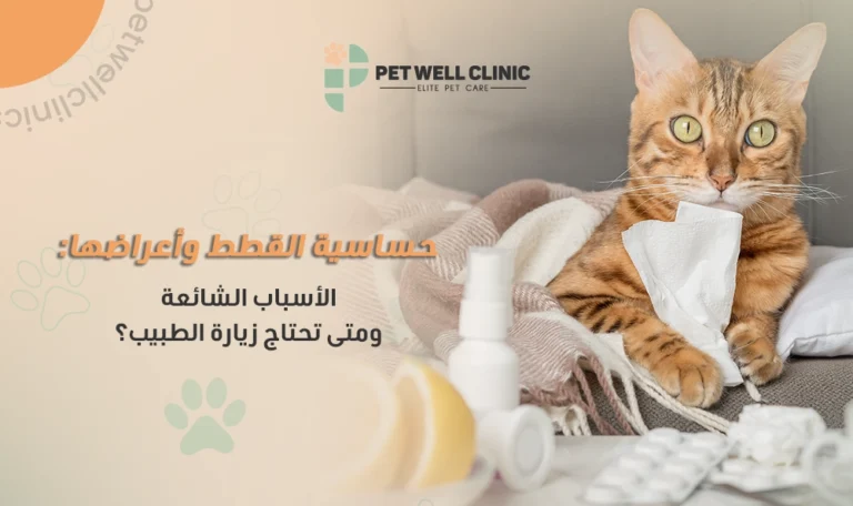 أعراض حساسية القطط