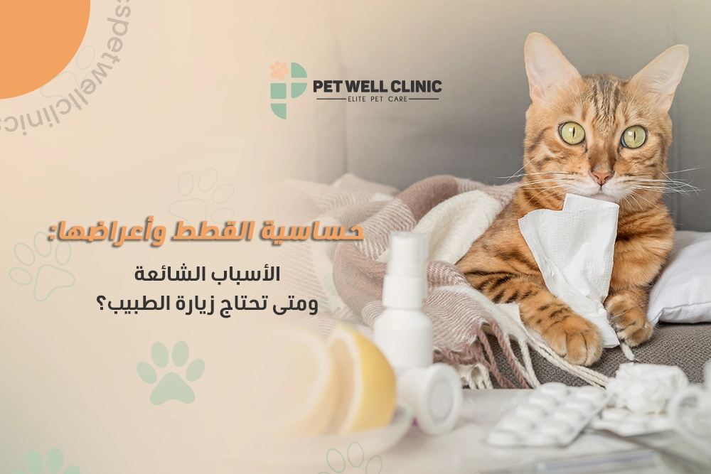 أعراض حساسية القطط