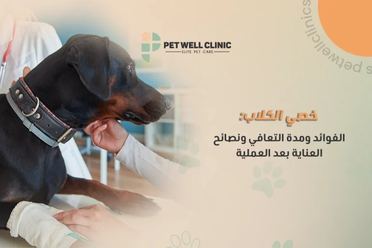 خصي الكلاب