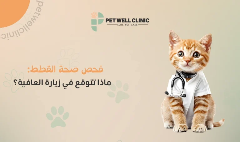 فحص صحة القطط