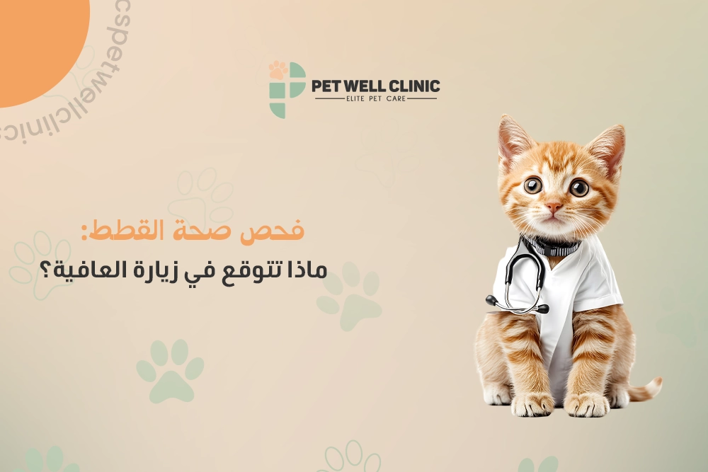 فحص صحة القطط