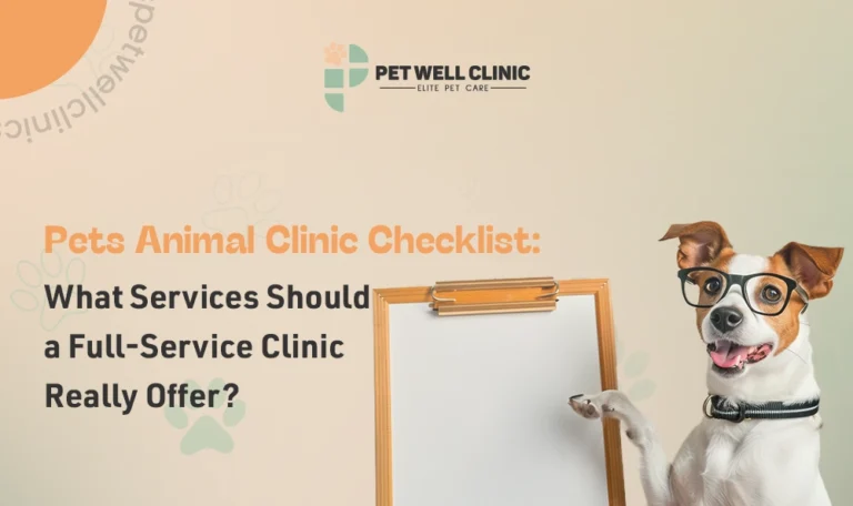 pets animal clinic