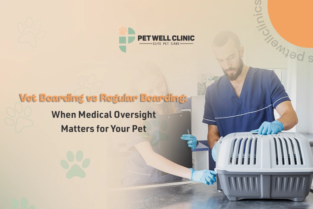 vet boarding