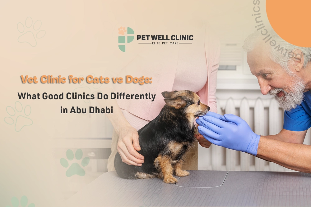 vet clinic