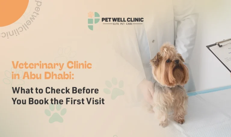 veterinary clinic in abu dhabi