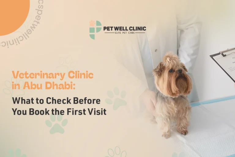 veterinary clinic in abu dhabi