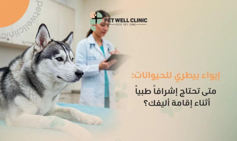 إيواء بيطري للحيوانات