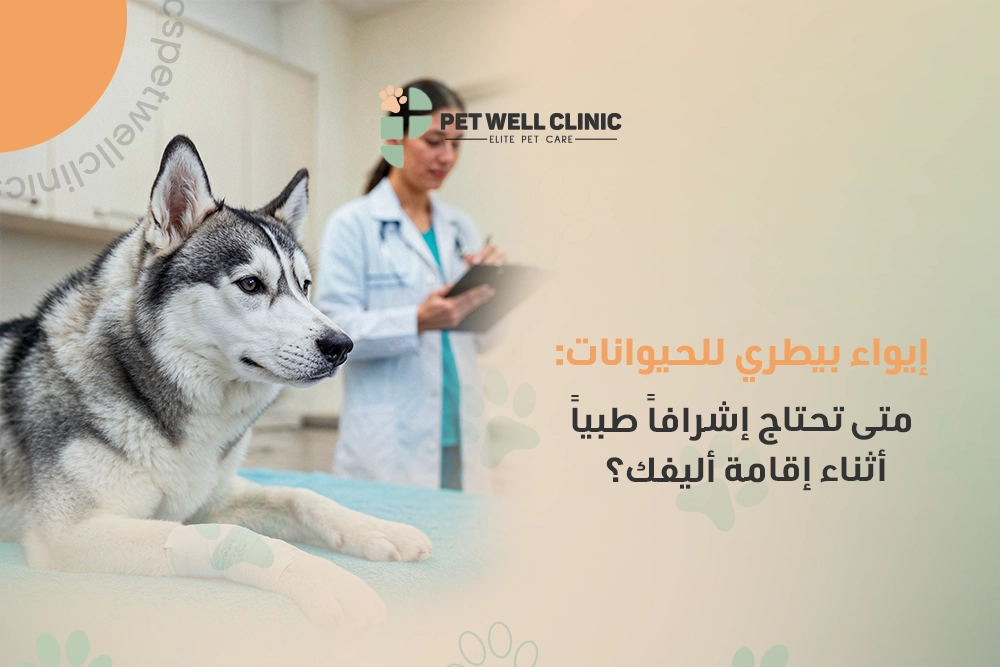 إيواء بيطري للحيوانات