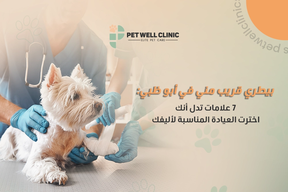 بيطري قريب مني