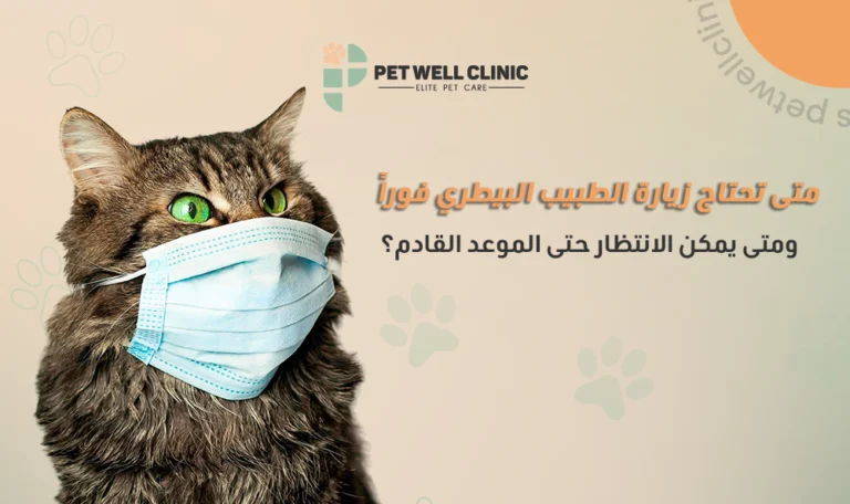 بيطري