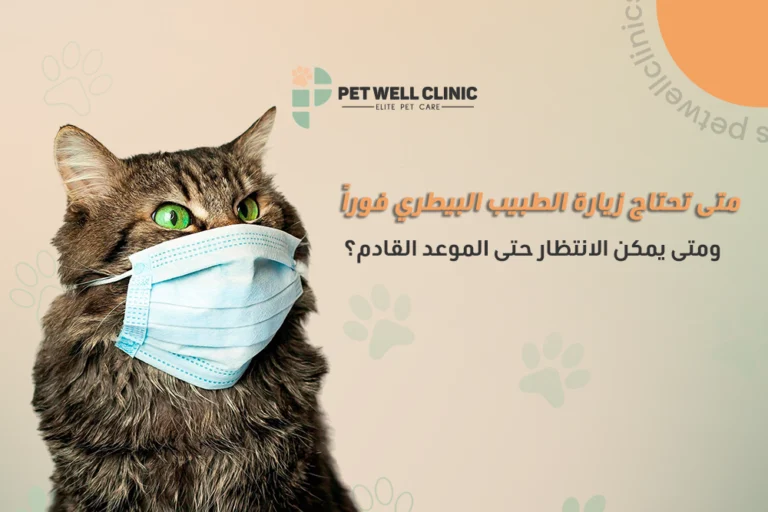 بيطري